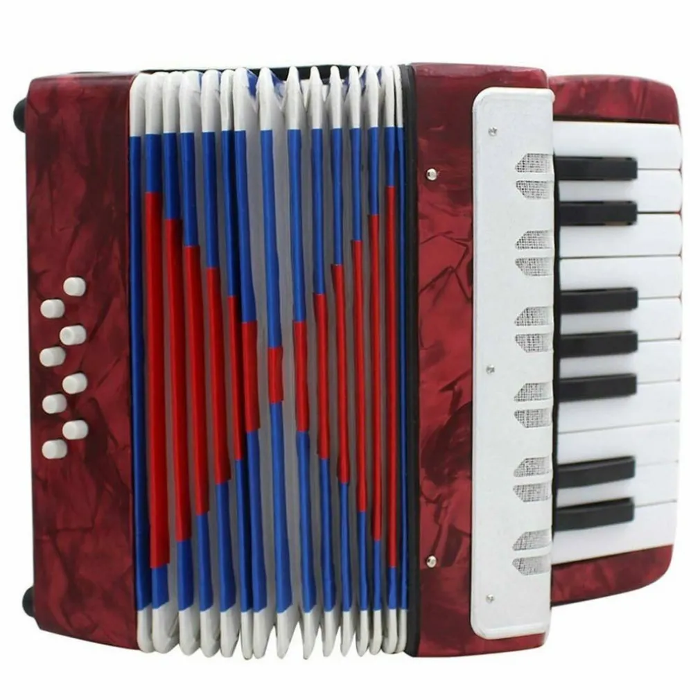 LA MIA PRIMA FISARMONICA 17 TASTI NOTE 8 BASSI STRUMENTI MUSICALI PER BAMBINI