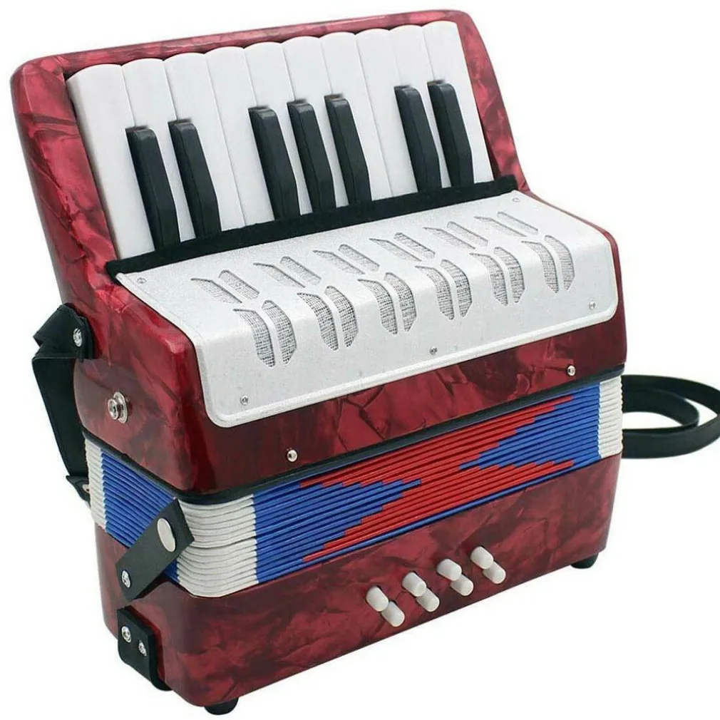 LA MIA PRIMA FISARMONICA 17 TASTI NOTE 8 BASSI STRUMENTI MUSICALI PER BAMBINI