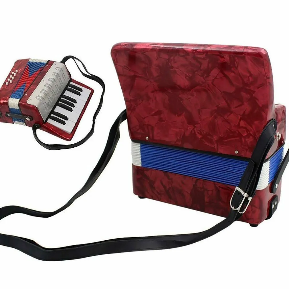 LA MIA PRIMA FISARMONICA 17 TASTI NOTE 8 BASSI STRUMENTI MUSICALI PER BAMBINI