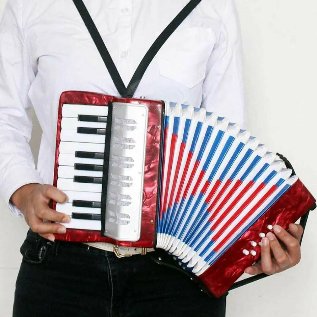 LA MIA PRIMA FISARMONICA 17 TASTI NOTE 8 BASSI STRUMENTI MUSICALI PER BAMBINI