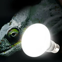 LAMPADA GIORNO RETTILI TARTARUGHE TERRARIO 50W ANIMALI LUCE SOLARE RAGGI UVA UVB