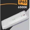 LAMPADA LED EMERGENZA ANTI BLACKOUT ESTERNO IP65 3.5W 400LM 3 ORE AUTONOMIA