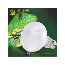 LAMPADA RETTILI TARTARUGHE TERRARIO ANIMALI LUCE SOLARE RAGGI UVA UVB 100 W