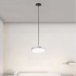 LAMPADARIO A SOSPENSIONE LED 40W ARGENTO CERCHIO TONDO MODERNO MINIMAL LUCE 6500K 32941