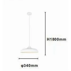 LAMPADARIO A SOSPENSIONE MODERNO CONTEMPORANEO E27 PARALUME FERRO CUPOLA BIANCO 33344