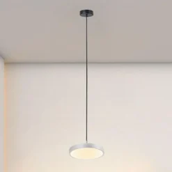 LAMPADARIO A SOSPENSIONE LED 40W ARGENTO CERCHIO TONDO MODERNO MINIMAL LUCE 4000K 32934