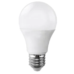 LAMPADINA A LED 10 W A60 ATTACCO E27 SFERA LUCE 6500K 3000K 4000K LAMPADA A6009