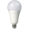 LAMPADINA A LED 26 W E27 A SFERA A110 LUCE FREDDA CALDA NATURALE LAMPADA A11001