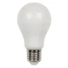 LAMPADINA A LED FILAMENTO OPACA A70 12 W E27 LUCE FREDDA CALDA NATURALE A70B12