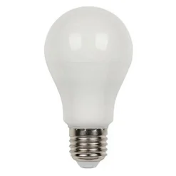 LAMPADINA A LED FILAMENTO OPACA A70 12 W E27 LUCE FREDDA CALDA NATURALE A70B12