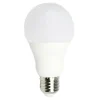 LAMPADINA LED 13.5 W A65 ATTACCO E27 SFERA LUCE 6500K 3000K 4000K LAMPADA A6509