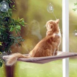 LETTINO LAVABILE PER GATTI A MURO CON VENTOSE 50 X 25 CM X 7,5 KG