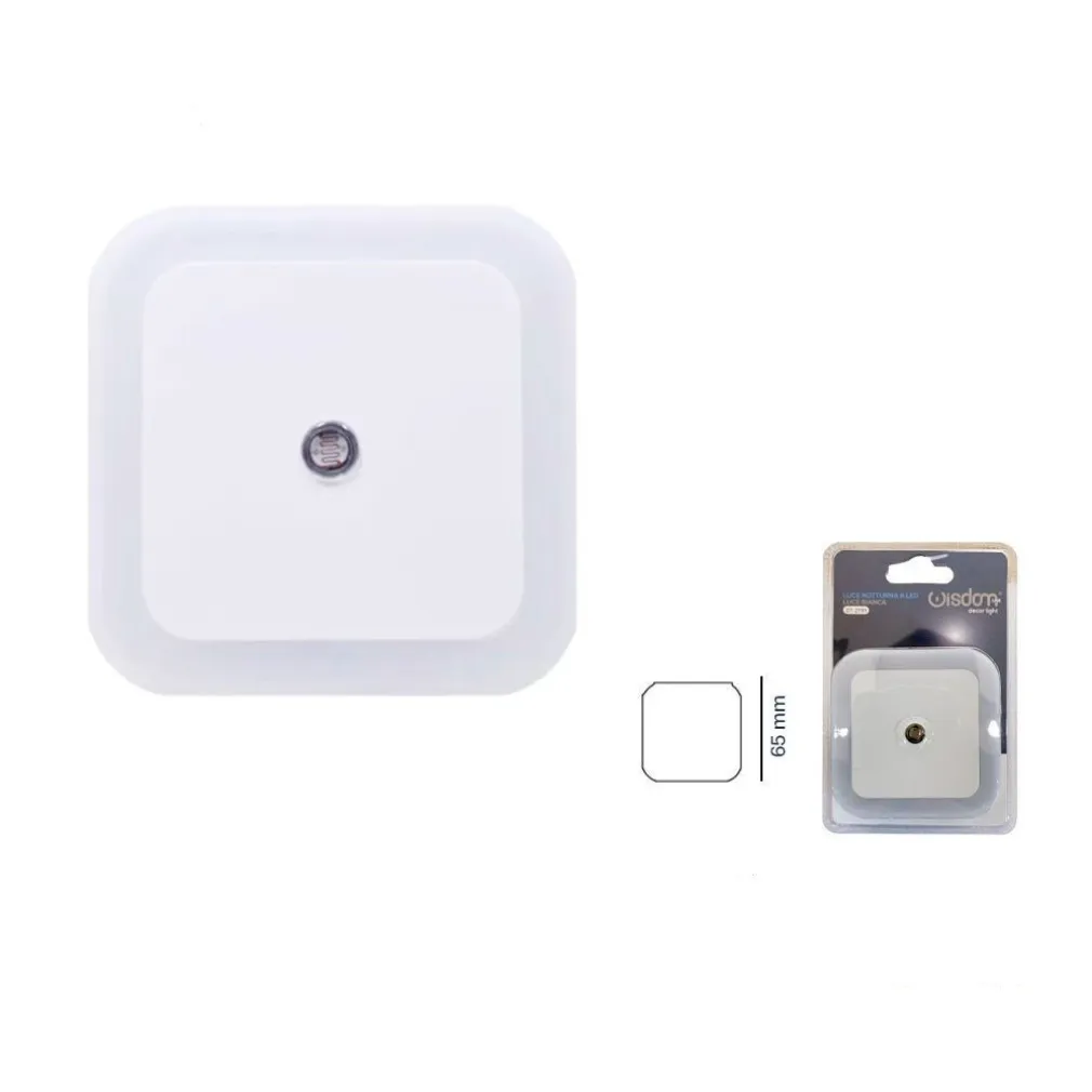 LUCE NOTTURNA A LED LUCE BIANCA LAMPADA PER CAMERA DA LETTO CORRIDOIO DT-2191