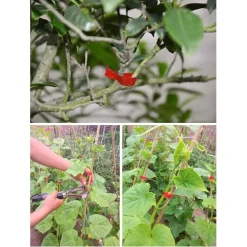 MACCHINA LEGATURA A MANO RAMO IMBALLAGGIO STELO REGGIATURA ATTREZZO DA GIARDINO