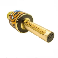 MICROFONO KARAOKE CON SPEAKER V8 CANTO WIRELESS WIFI BLUETOOTH CASSA INCORPORATA