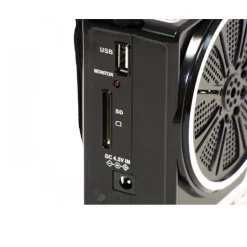 MINI CASSA SPEACKER PORTATILE CON RADIO FM PORTA USB LETTORE SD MP3 AUDIO MUSICA