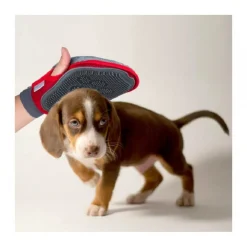 NOBLEZA GUANTO MASSAGGIANTE PER ANIMALI DOMESTICI CANI GATTI RIMOZIONE PELO