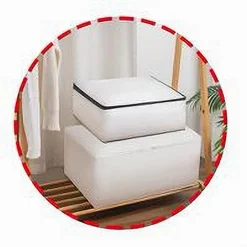 ORGANIZER PER VESTITI SCATOLE PIEGHEVOLI SALVASPAZI CONTENITORE 40X30X20CM 87418