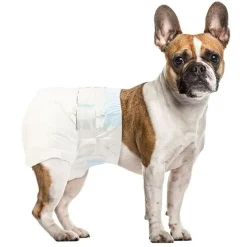 PANNOLINI ASSORBENTI PER CANI TAGLIA S PICCOLA PANNOLINO TRAVERSINA ASSORBENTE