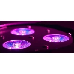 PAR LED RGBWA IP65 DMX 18X18WATT UV 6 IN 1 LUCE WOOD PARTY FLUO POWERCON IN OUT