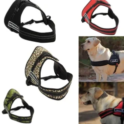 PETTORINA CINGHIA CANI CANE BARDATURA CINTURA IMBRAGATURA ADDESTRAMENTO