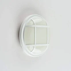 PLAFONIERA APPLIQUE A LED TONDA TARTARUGA LUCE BIANCA 6500K 20W PER ESTERNO IP65