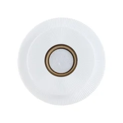 PLAFONIERA LED LAMPADA DA SOFFITTO 60W LUCE BIANCO FREDDO 6500K ORO BIANCO 63824