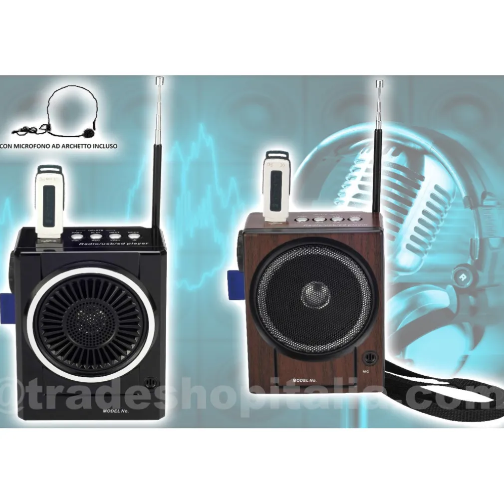 RADIO FM KARAOKE USB CASSA SPEAKER MP3 SD RICARICABILE CON TORCIA E MICROFONO