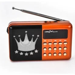 RADIO FM RS-010U LETTORE MUSICALE PLAYER PORTATILE MICROSD MMC USB AUX
