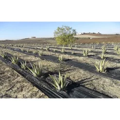 RETE ANTI ERBA TELO PACCIAMATURA PER ORTO GIARDINO SERRA 1.5X10MT RESISTENTE 023297