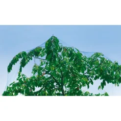 RETE ANTI UCCELLI PROTEZIONE ORTAGGI VERDE 4 X 6 METRI GIARDINO ORTO ANTIUCCELLI