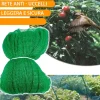 RETE ANTI UCCELLI PROTEZIONE ORTAGGI VERDE 2 X 5 METRI GIARDINO ORTO ANTIUCCELLI