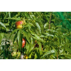 RETE ANTI UCCELLI PROTEZIONE ORTAGGI VERDE 2 X 5 METRI GIARDINO ORTO ANTIUCCELLI