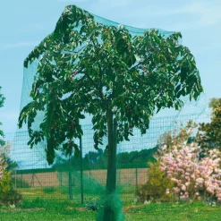 RETE ANTI UCCELLI PROTEZIONE ORTAGGI VERDE 2 X 5 METRI GIARDINO ORTO ANTIUCCELLI