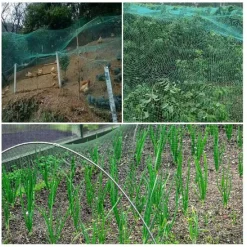 RETE ANTI UCCELLI VERDE IN POLIETILENE PROTEZIONE GIARDINO ORTO PIANTE 2 X 10 MT