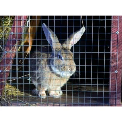 RETE IN FILO DI FERRO ELETTROSALDATO 1X10 MT MAGLIA 19X19 MM GRN60 RECINZIONE 51514