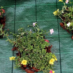 RETE TELO PACCIAMATURA ANTI ERBA PER ORTO GIARDINO SERRA 1.5X10 MT RESISTENTE 222252