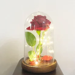 ROSA ETERNA INCANTATA LA BELLA E LA BESTIA IN CUPOLA CON BASE LEGNO E LUCI A LED