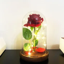 ROSA ETERNA INCANTATA LA BELLA E LA BESTIA IN CUPOLA CON BASE LEGNO E LUCI A LED