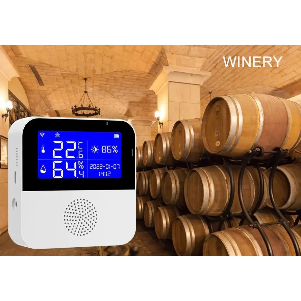 SENSORE DI TEMPERATURA UMIDITÀ DIGITALE PER INTERNO ESTERNO Q-WD01 SMART WIFI USB