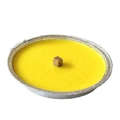 SET 10 CANDELE ALLA CITRONELLA ANTIZANZARE IN VASO ALLUMINIO FIACCOLA 11CM