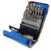 SET 25 PUNTE PER TRAPANO IN TITANIO KIT PUNTE FERRO MISURE 1 A 13 CM + CUSTODIA