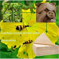 SET 10 PZ PANNI STROFINACCI PER PULIZIA VETRI FINESTRE PIATTI CUCINA RIUTILIZZABILI