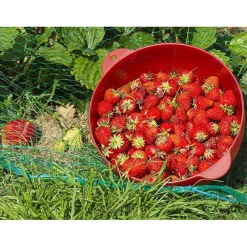 SET 2 PZ RETE ANTI ANIMALI MAGLIA 1X10 MT VERDE SCURO PROTEZIONE PIANTE ORTO 134616