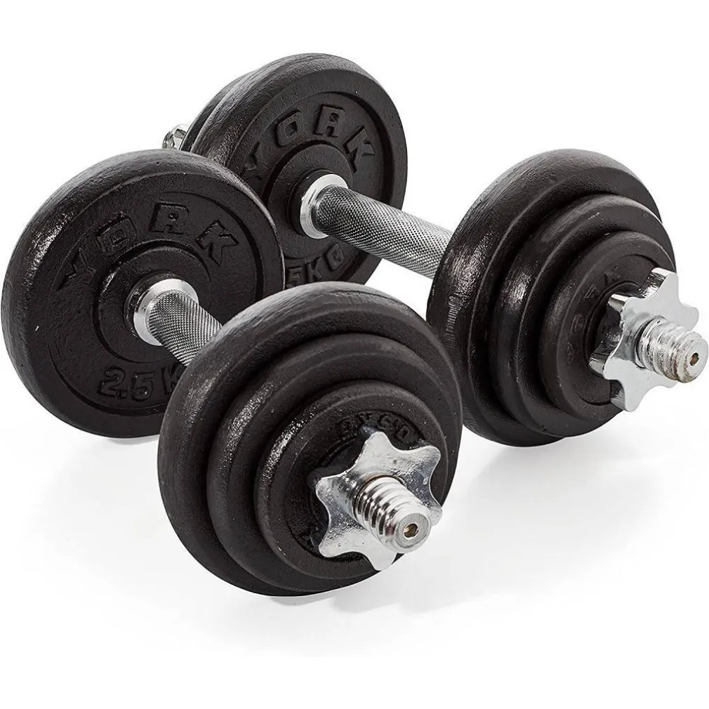 SET DI MANUBRI IN GHISA YORK FITNESS 20KG FORATURA 2,54CM ALLENAMENTO PALESTRA