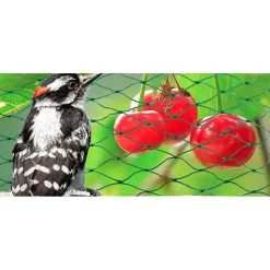 SET 2PZ RETE IN POLIETILENE ANTI ANIMALI MAGLIA 2X10MT VERDE PROTEZIONE PIANTE ORTO 134615