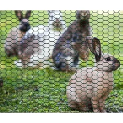 SET 3PZ RETE METALLICA PLASTIFICATA 1.5X3MT MAGLIA ESAGONALE 19MM RECINZIONE 020247