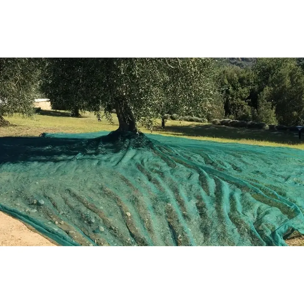 SET 3PZ RETE PER RACCOLTA OLIVE FRUTTA PIANTAGIONI 4X6MT RESISTENTE DUREVOLE VERDE 222272