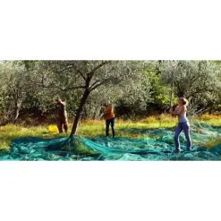 SET 3PZ RETE PER RACCOLTA OLIVE FRUTTA PIANTAGIONI RESISTENTE DUREVOLE 3X10MT VERDE 222271