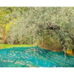 SET 3PZ RETE PER RACCOLTA OLIVE FRUTTA PIANTAGIONI RESISTENTE DUREVOLE 3X10MT VERDE 222271